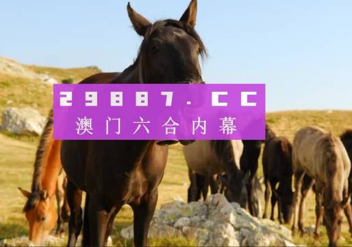 澳门管家婆一肖一码一中一2期精选资料解析大全