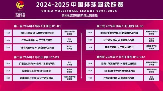 澳门正版资料免费大全与精选资料解析大全，探索2024-2025年的数据与趋势