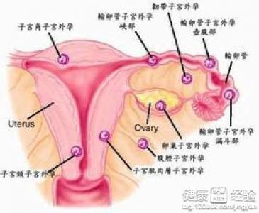 孕六个月下腹隐隐疼，原因、管理与注意事项